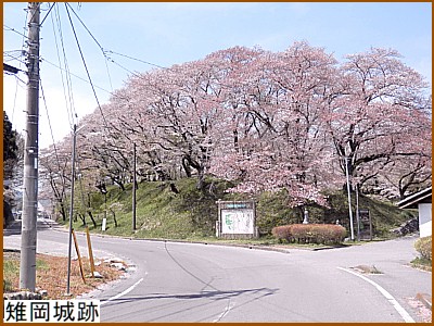 雉岡城跡
