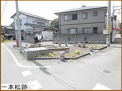 一本松跡