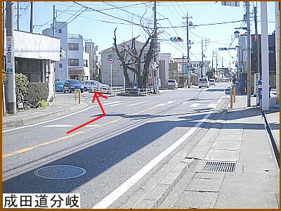 ���c������