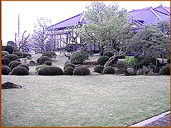 �������̑O��