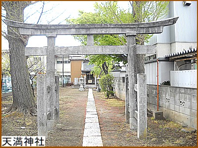 �V���_��