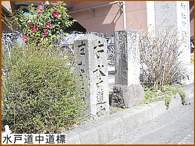 ���˓������W