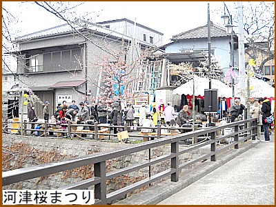 河津桜まつり