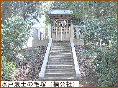 ���˘Q�m�̖ђˁi����Ёj