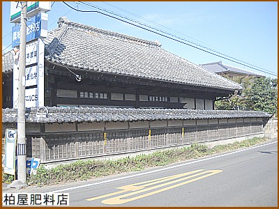 �����엿�X