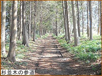 �����؂̎Q��