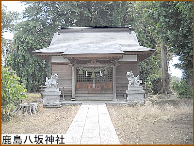 ��������_��