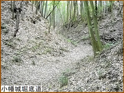 ������x�ꓹ