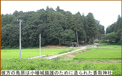 ���{�̌����i