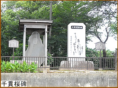 千貫桜碑