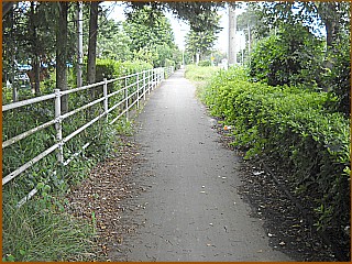 �R�̒��̎U���H�A����ȕ��͋C