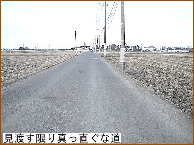 見渡す限り真っ直ぐな道