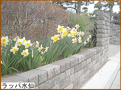 ���b�p����