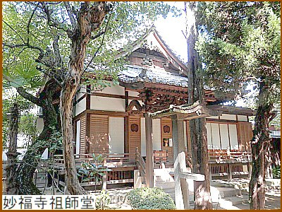 �������c�t��