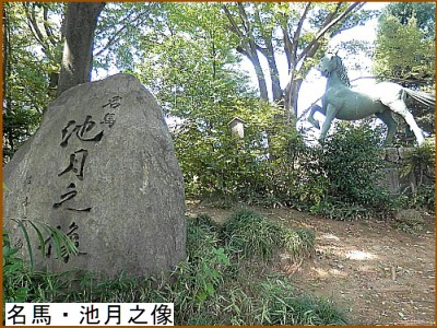 ���n�E�r���V��