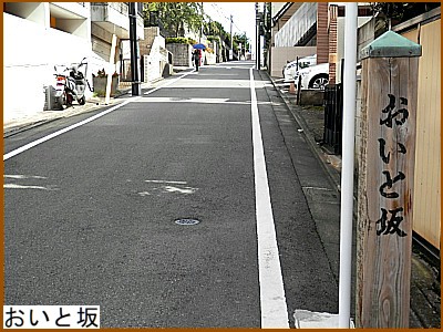 �����ƍ�