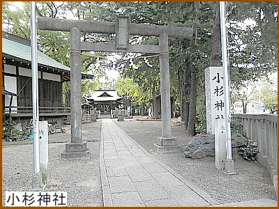 �����_��