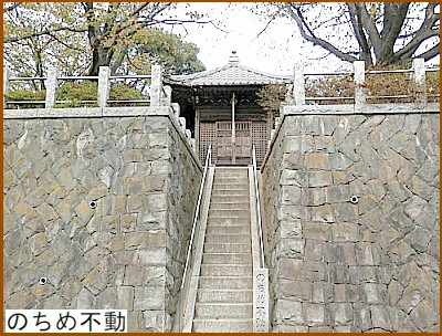 �̂��ߕs��