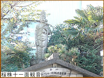 �����\��ʊω�