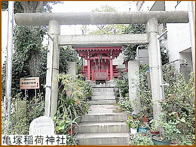 �T�ˈ�א_��