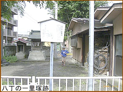 �����̈ꗢ�ːՐ�