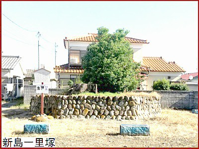 �V���ꗢ��