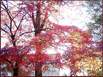 �����ȍg�t