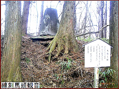 �����n���ω�