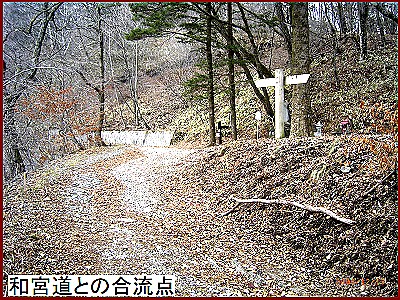 �a�{���Ƃ̍����_