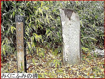 �݂��ɂӂ݂̔�