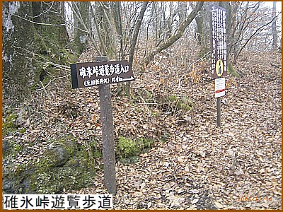 碓氷峠遊覧歩道