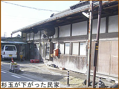 杉玉が下がった民家