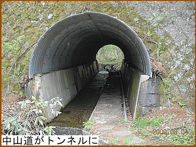 ���R�����g���l����