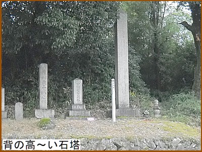 �w�̍��`���Γ�