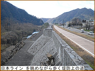 �{���C�� �𒭂߂Ȃ��������h��̓�