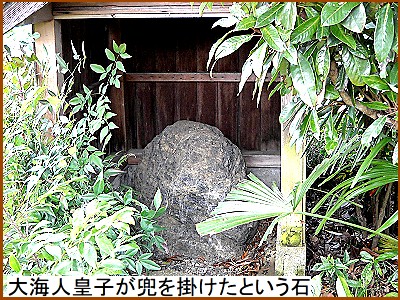 ��C�l�c�q�������|�����Ƃ�����