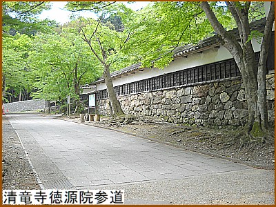 清竜寺徳源院参道