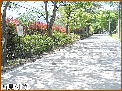 �����t��