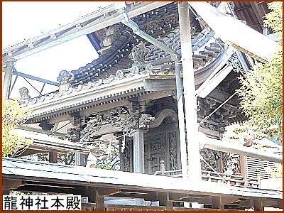 ���_�Ж{�a