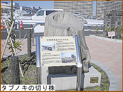 �^�u�m�L�̐؂芔