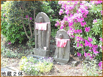 �n�����Q��