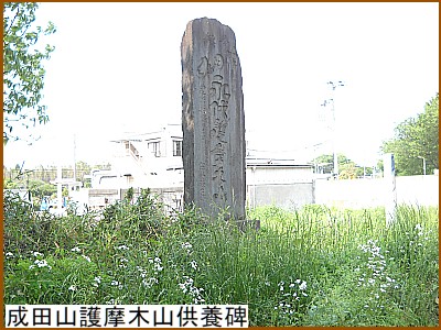 ���c�R�얀�؎R���{��