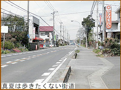真夏は絶対歩きたくない街道