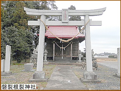 �֗􍪗�i���킳���˂����j�_��