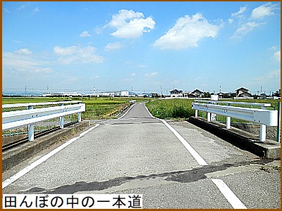 �c��ڂ̒��̈�{��