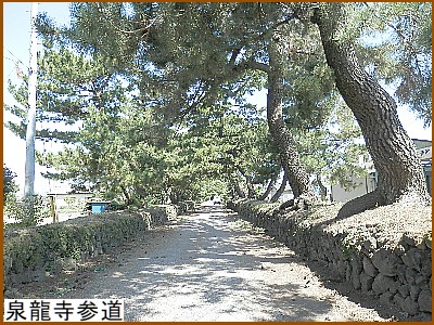 �򗴎��Q��