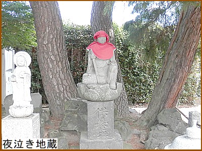 �鋃���n��