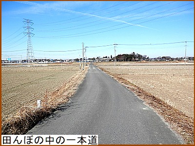 田んぼの中の一本道