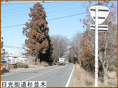 日光街道杉並木