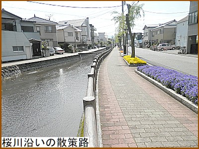桜川沿いの散策路